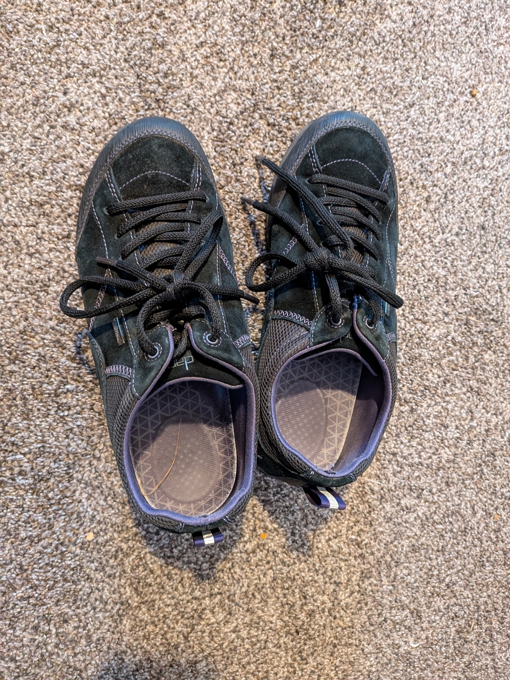 Women's Dansko Lace-Up Suede Sneakers in Black